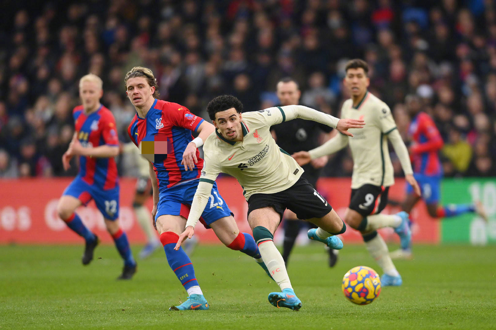 或许可以更 或许可以更