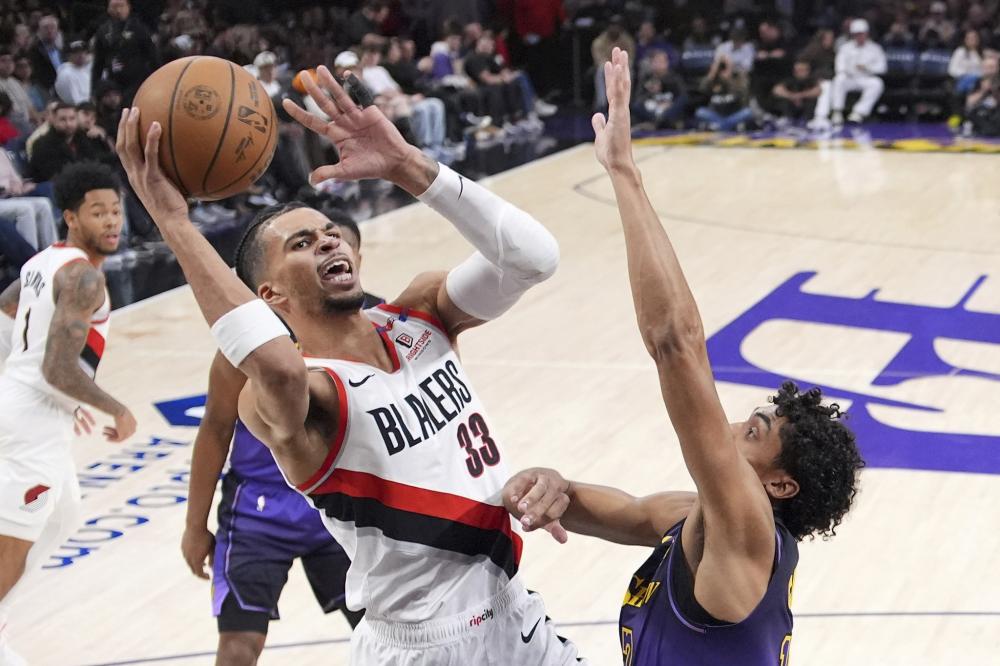 我们发现狮 我们发现狮